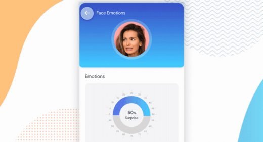 Face recognition concept app