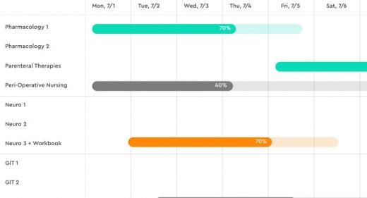 Gantt Chart Template for XD