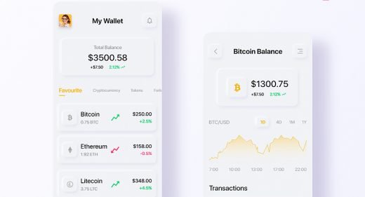 Neumorphic Crypto wallet XD template